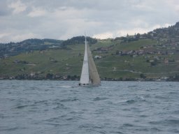 36e Coupe d&#039;Avant et d&#039;Argent 2009